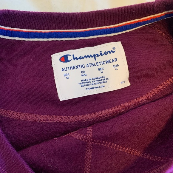 Champion Powerblend Fleece Classic Crew, Script Logo - Picture 4 of 5